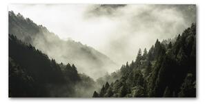 Akrilüveg fotó Köd az erdőben