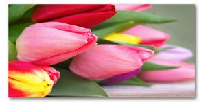 Akrilkép Színes tulipán