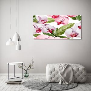 Akril üveg kép Rózsaszín orchideák