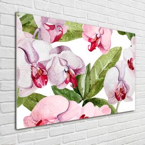 Fali üvegkép Rózsaszín orchideák