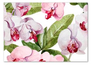 Akril üveg kép Rózsaszín orchideák