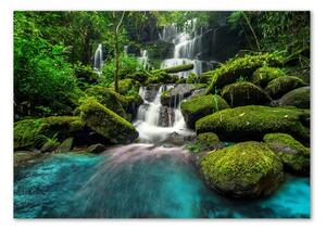Akrilüveg fotó Vízesés a dzsungelben