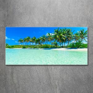 Akrilüveg fotó Trópusi tengerpart