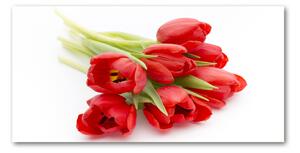 Akrilkép Piros tulipánok