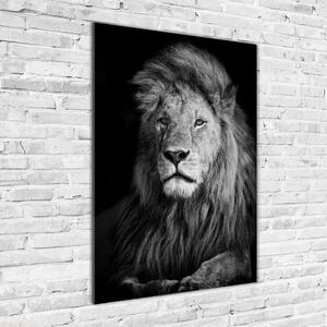 Üvegkép Portré egy oroszlán