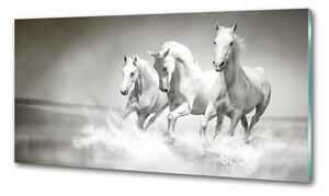 Konyhai fali panel Fehér lovak