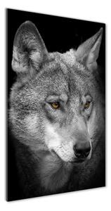 Üvegkép Portré a farkas