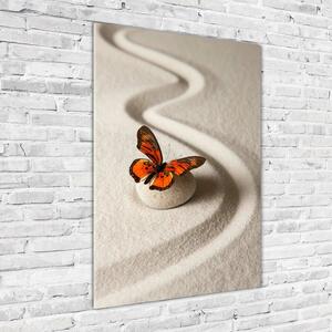 Üvegkép Zen kő és pillangó