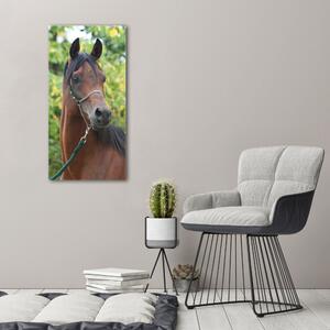 Üvegkép Portré egy ló