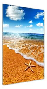 Üvegfotó Starfish a strandon