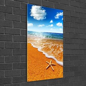 Üvegfotó Starfish a strandon