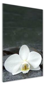Egyedi üvegkép Orchidea kövek