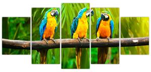 Modern kép - papagájok (150x70cm)