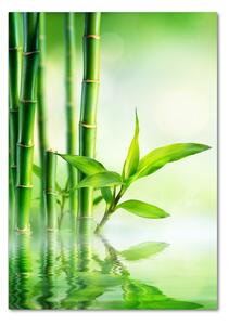 Egyedi üvegkép Bamboo vízben