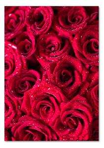 Egyedi üvegkép Vörös rózsák