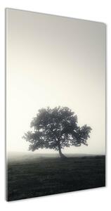 Üvegfotó Fa a ködben