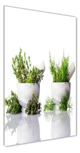 Photo kép üveg Habarcsok és fűszernövények