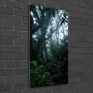 Üvegfotó Az esőerdő