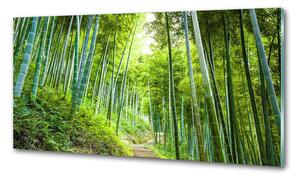 Konyhai üveg panel Bambusz erdő