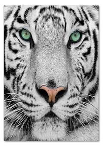 Üvegkép Fehér tigris