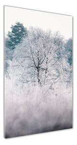 Üvegfotó Erdőben télen