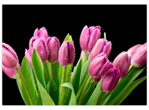 Kép - tulipán