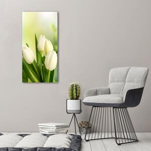 Vászonkép nyomtatás Fehér tulipán