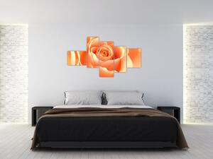 Kép - narancs, roses (150x85cm)