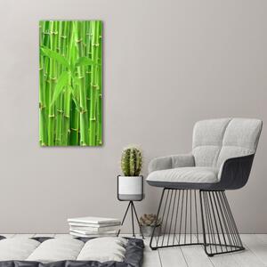 Egyedi üvegkép Bambusz erdő