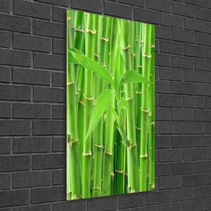Egyedi üvegkép Bambusz erdő