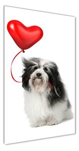 Üvegkép Havanese léggömb