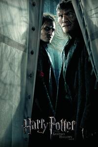 Művészi plakát Harry Potter - Snatchers