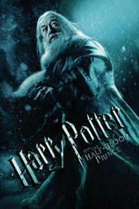 Művészi plakát Harry Potter - Albus Dumbledore