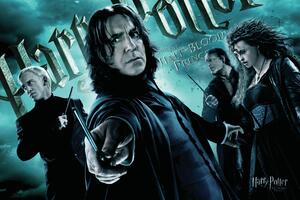 Művészi plakát Harry Potter - Followers of Voldemort