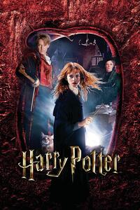 Művészi plakát Harry Potter - Hermione Granger