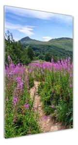 Üvegfotó Bieszczady