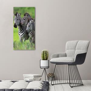 Vászonkép Három zebrák