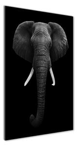 Üvegkép Afrikai elefánt