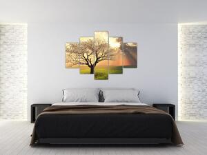 A természet képe - egy fa (150x105cm)