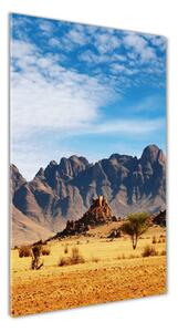Üvegfotó Desert namíbia