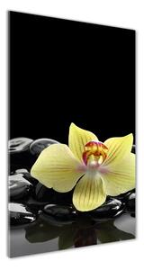 Egyedi üvegkép Orchidea és kövek