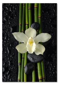 Egyedi üvegkép Orchidea és bambusz