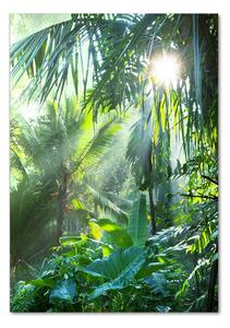 Egyedi üvegkép Dzsungel