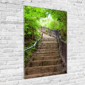 Üvegkép falra Lépcsők az erdőben