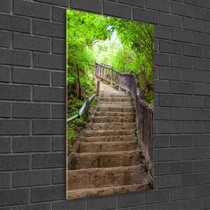 Üvegkép falra Lépcsők az erdőben