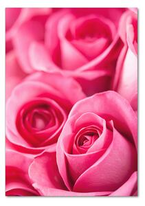 Egyedi üvegkép Rózsaszín rózsa