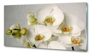 Konyhai falburkoló panel Fehér orchidea