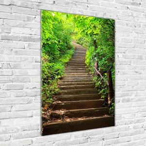 Üvegfotó Lépcsők az erdő