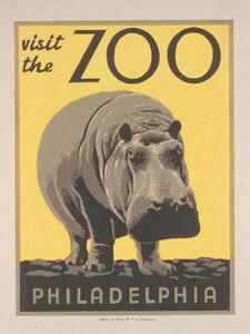 Festmény reprodukció Vintage Philadelphia Zoo Poster (Featuring a Hippo), (30 x 40 cm)