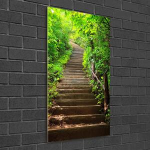 Üvegfotó Lépcsők az erdő